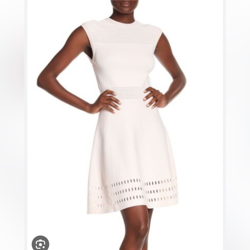 Ted Baker Dress